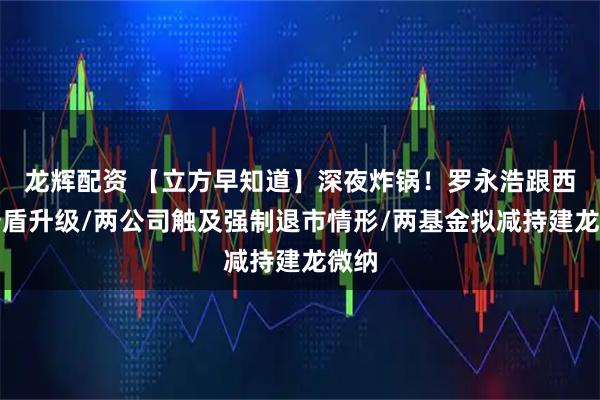 龙辉配资 【立方早知道】深夜炸锅！罗永浩跟西贝矛盾升级/两公司触及强制退市情形/两基金拟减持建龙微纳