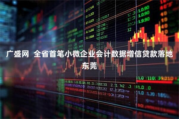 广盛网  全省首笔小微企业会计数据增信贷款落地东莞